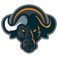 Buffalo Network