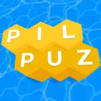 Pillar Puzzle