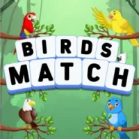 Birds Tiles Match