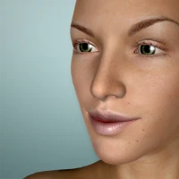 Face Model - 3D Head pose tool