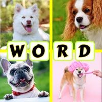 4 Pics 1 Word - Puzzle game