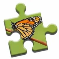 Colorful Butterflies Puzzle