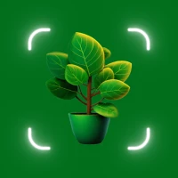 Plant Identifier AI Plant Care