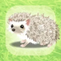 Hedgehog Pet